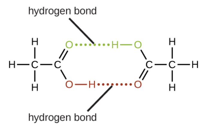 Chemical structure of an acetic acid dimer